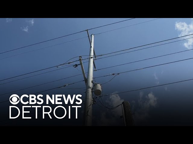 ⁣Michigan Public Service Commission discusses DTE Energy, Consumers Energy audit