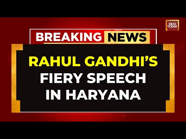 ⁣Rahul Gandhi LIVE: Rahul Gandhi's Big Attack At PM Modi In Haryana | Rahul Gandhi Speech LIVE