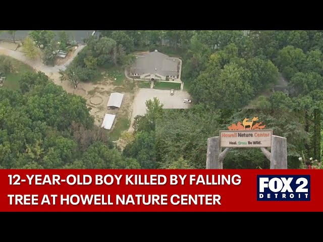 ⁣12-year-old boy killed by fallen tree at Howell Nature Center