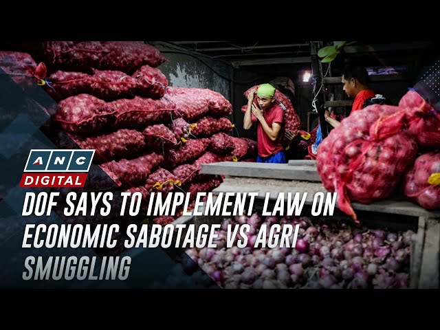 DOF says to implement law on economic sabotage vs agri smuggling | ABS-CBN News