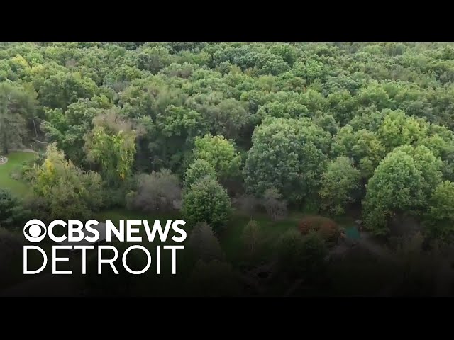 12-year-old boy dies after tree falls on him in Howell, police say