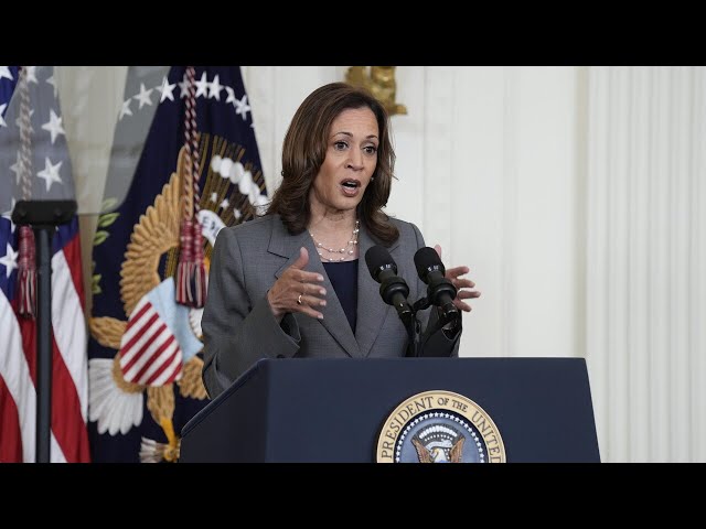 ⁣‘Failed’: Kamala Harris has thrown herself ‘under the bus’