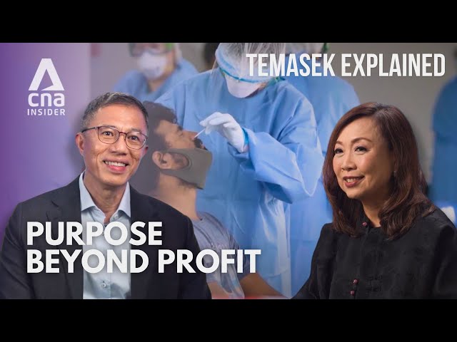 ⁣Temasek Explained: Supporting Singapore through tough times [Part 8/8]