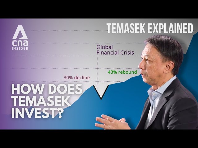 ⁣Temasek Explained: How Temasek makes its investment decisions [Part 5/8]