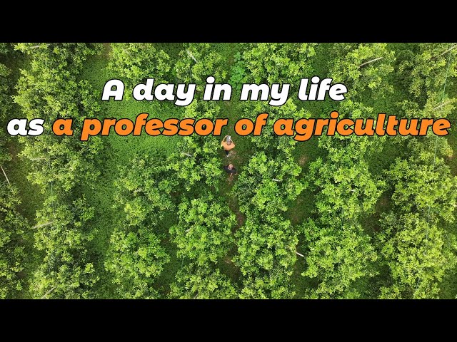 ⁣Life After Studying in China | A day in my life as a professor