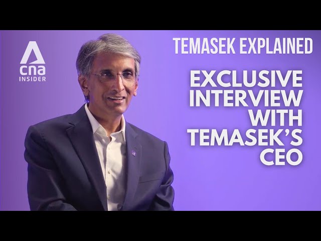 ⁣Temasek Explained: Exclusive interview with CEO of Singapore’s Temasek [Part 7/8]