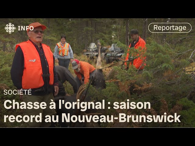 ⁣À 92 ans, il chasse toujours l'orignal et atteint sa cible