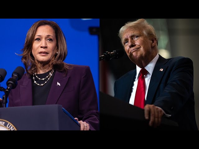 ⁣Kamala Harris headed to the border, Trump meets with Zelenskyy