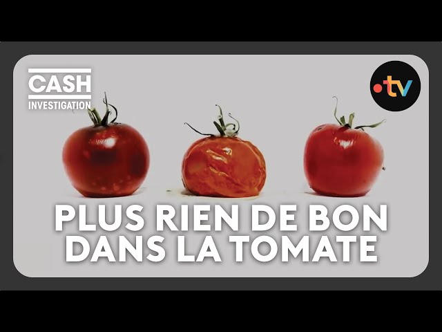 ⁣Les industriels ont-ils tué la tomate ? - Cash investigation