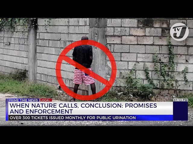 ⁣When Nature Calls, Conclusion: Promises and Enforcement | TVJ News