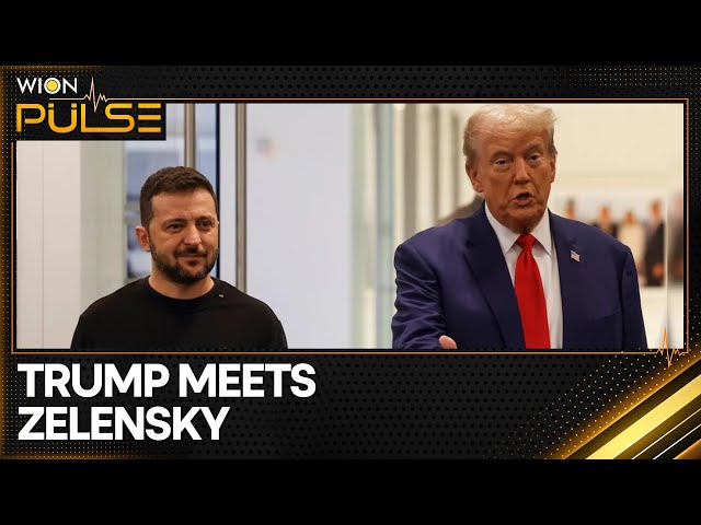 ⁣Zelensky's US Visit: Zelensky Meets Trump On The Sidelines | WION Pulse