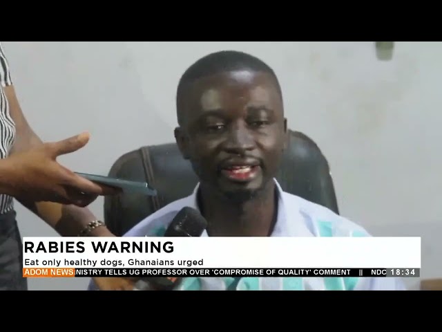 ⁣Eat only healthy dogs, Ghanaians urged- Adom TV Evening News (27-09-24)