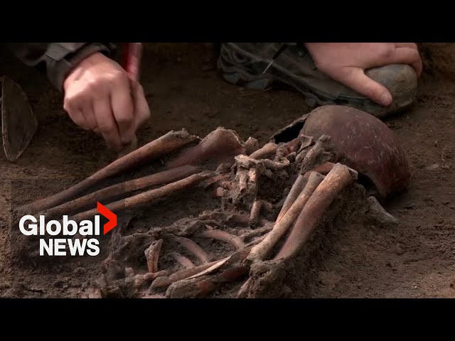 ⁣Danish archaeologists unearth 50 Viking Age skeletons