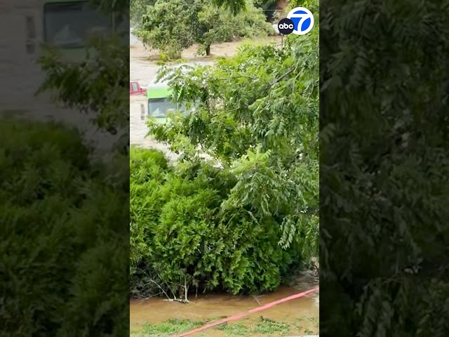 ⁣House floats away, collapses as Helene leaves North Carolina under water