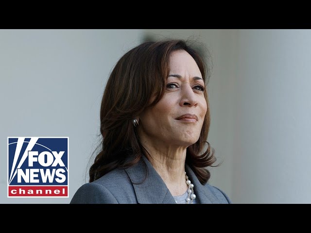 ⁣Sean Duffy: Kamala Harris' border trip is an 'outrageous' political move