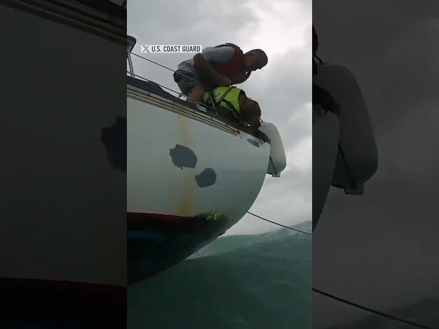 U.S. Coast Guard rescues man and dog from sinking boat off Florida coast