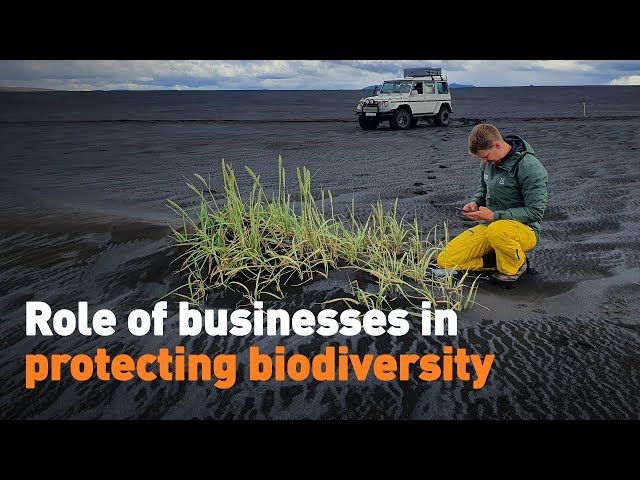 ⁣Role of businesses in protecting in biodiversity