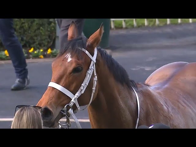 ‘She’s pretty special’: Glowing praise for Arrowfield filly Autumn Glow