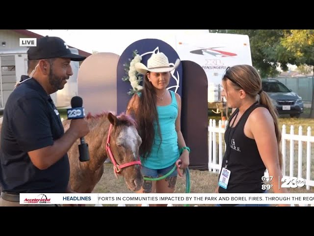 ⁣Live at the Kern County Fair with Cupcake the horse and M.A.R.E.