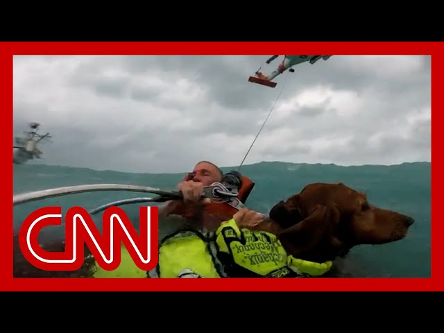 Helmet cam video shows dramatic rescue of dog and man during Hurricane Helene