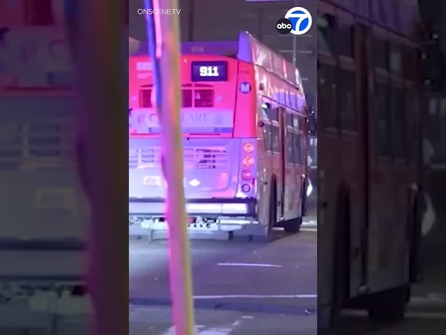 LAPD identifies passenger fatally shot during Metro bus hijacking