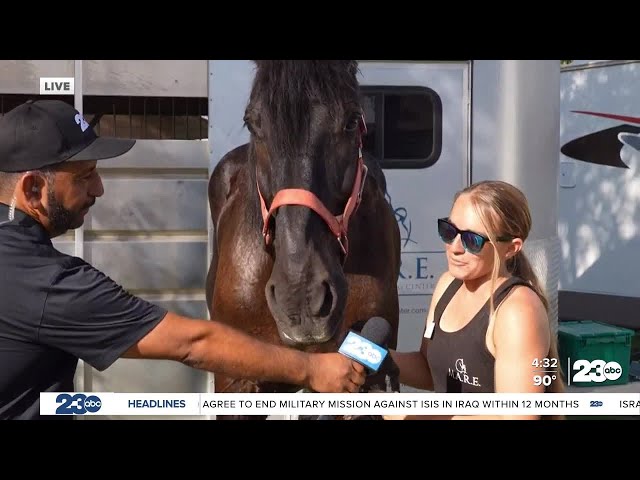 Live at the Kern County Fair with Knightly the Horse and M.A.R.E