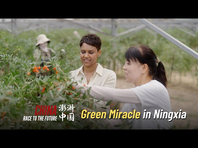 ⁣Race to the Future | Green Miracle in Ningxia