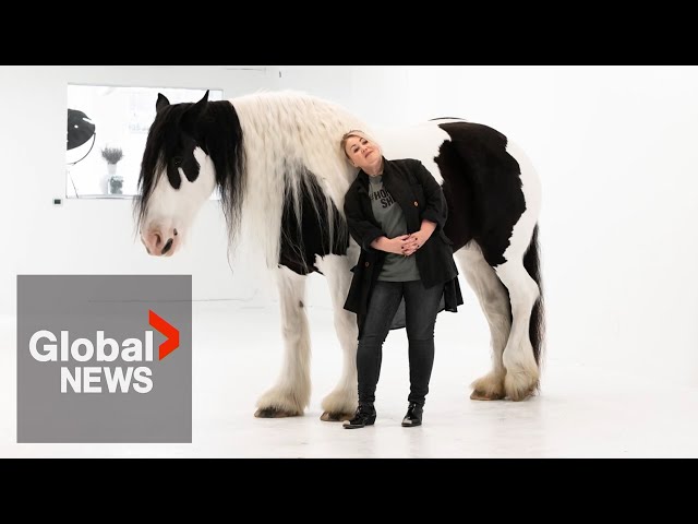 ⁣"It’s not Canadian:" Jann Arden calls for the end of live horse exports for meat