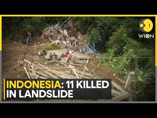 Indonesia: Dozens Buried In The Pit, Search Ops On | WION