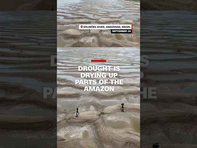 ⁣Drought is drying up parts of the Amazon