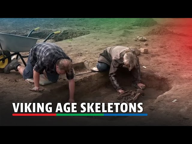 ⁣Archaeologists unearth 50 Viking Age skeletons | ABS-CBN News