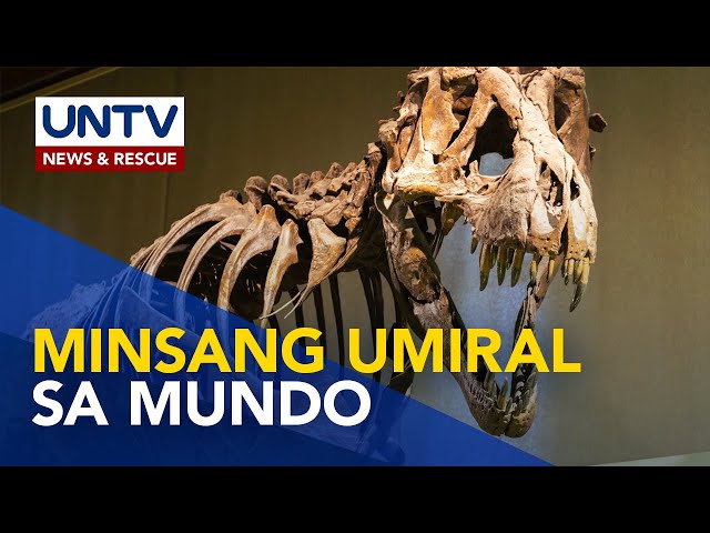 ⁣Alamin: ano ang mga dinosaur at paano sila nawala? | Wonders of Creation