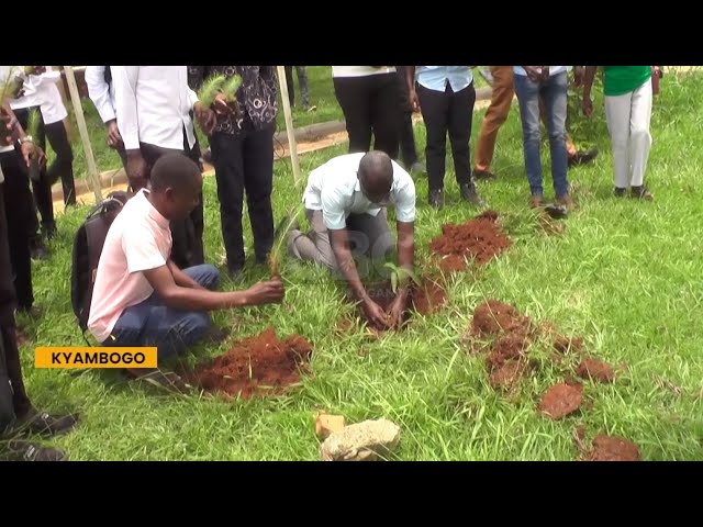 ⁣Reducing carbon footprint - Kyambogo University engineering students call for massive tree planting