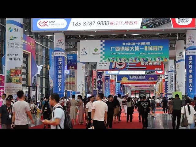 ⁣GLOBALink | China-ASEAN Expo explained: experience, expression, expectations