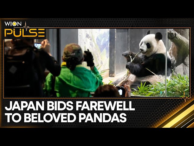 ⁣Japan bids farewell to panda pair before their return to China | Latest News | WION