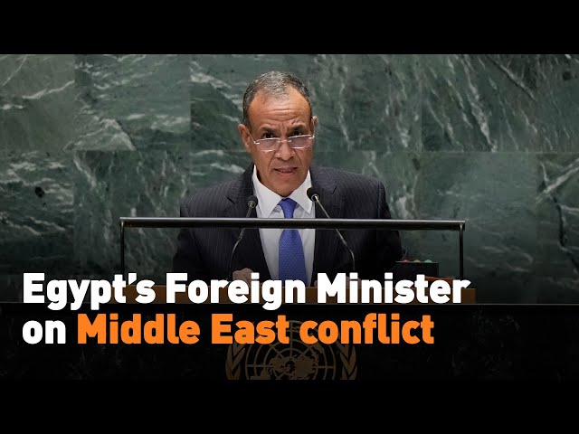 ⁣Egypt’s Foreign Minister on Middle East conflict