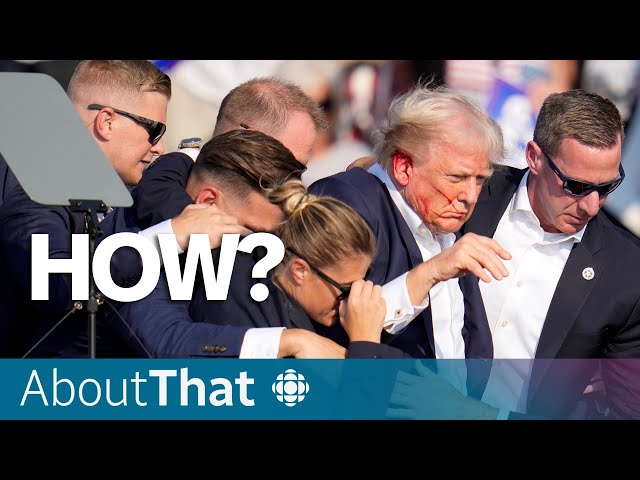 ⁣'Preventable': How the Secret Service failed to protect Trump | About That