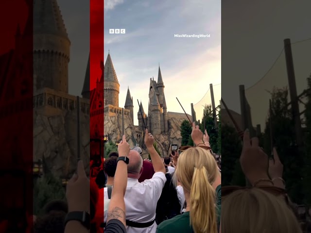 ⁣Harry Potter fans raise wands in tribute to Maggie Smith. #HarryPotter #MaggieSmith #BBCNews