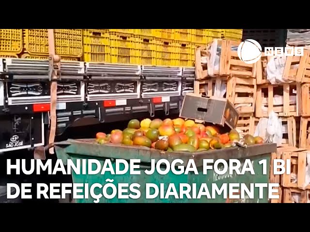 ⁣Humanidade joga fora 1 bilhão de refeições diariamente