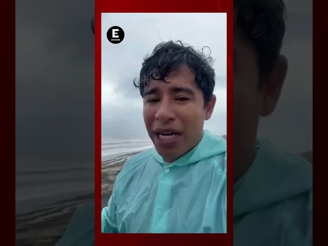 ⁣Cocodrilos al mar; John arrastra manglar a playas de Oaxaca