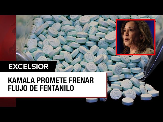 Kamala Harris promete a estadounidenses frenar el flujo de fentanilo