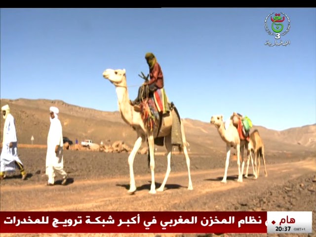 ⁣إليزي: طاسيلي ناجر.. غوص في سحر الطبيعة الصحراوية