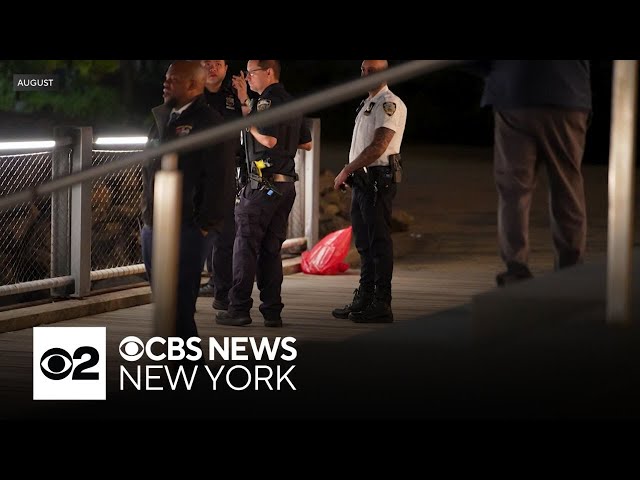 More bone fragments wash ashore in Brooklyn