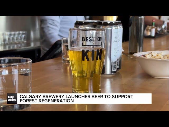 ⁣Calgary brewery launches beer to support forest regeneration