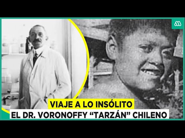 ⁣Viaje a lo insólito | La historia del Dr. Voronoff y el niño "Tarzán" chileno