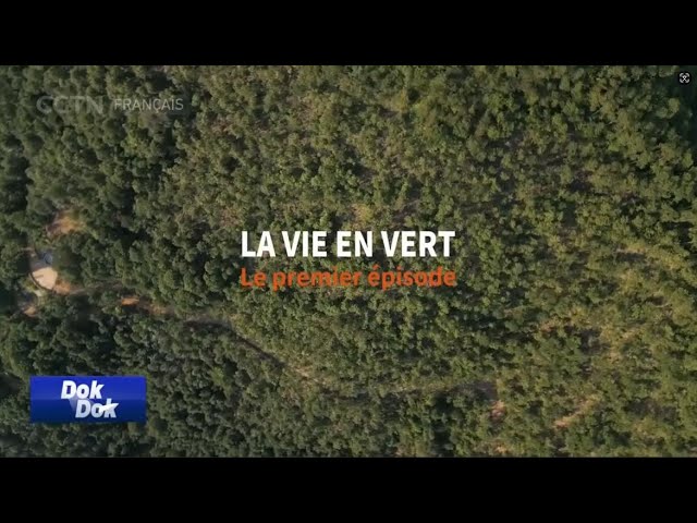 ⁣LA VIE EN VERT - Le premier épisode