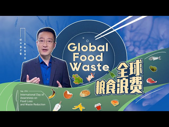 ⁣Global Watch editor's pick Ep. 38: Global food waste