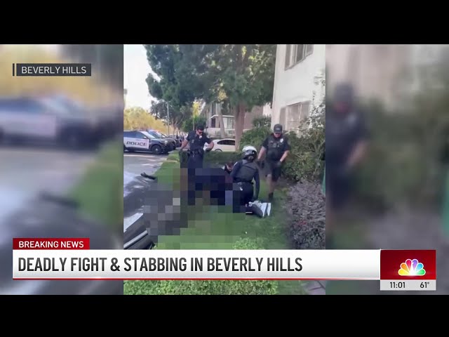 Deadly fight and stabbing in Beverly Hills