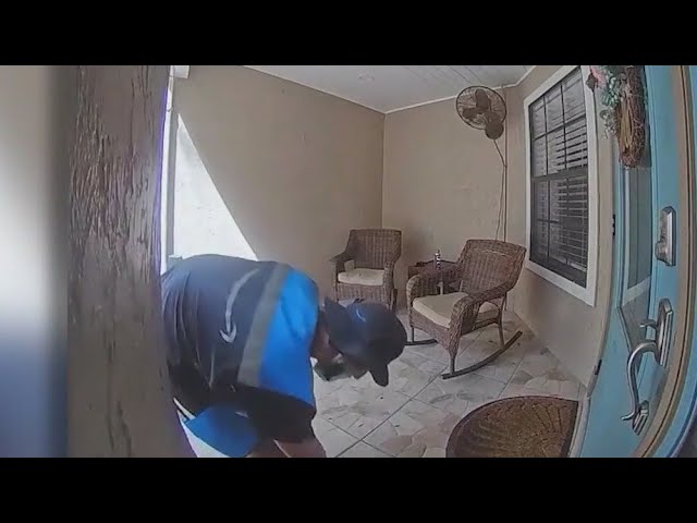 ⁣Porch pirate poses as Amazon delivery driver