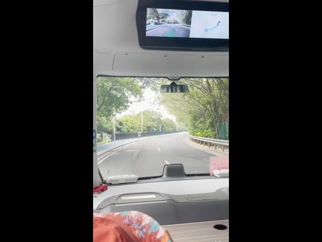 ⁣GLOBALink | British blogger amazed by driverless minibus ride in China's Guangdong